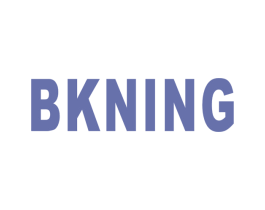 BKNING 第25类服装鞋帽商标图样
