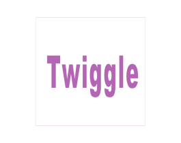 TWIGGLE 第42类技术服务商标图样