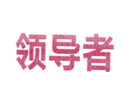 领导者 第11类家用电器商标图样