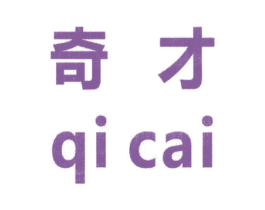 奇才 第11类家用电器商标图样