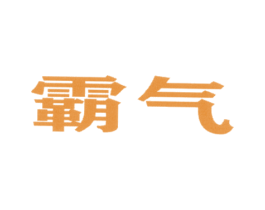 霸气 第12类运输工具商标图样