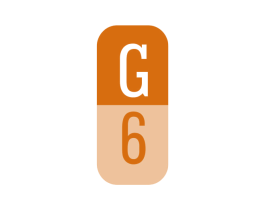 G6 第3类化妆品商标图样