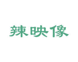 辣映像 第29类食品商标图样