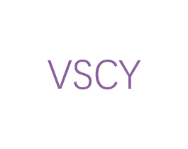 VSCY 第25类服装鞋帽商标图样