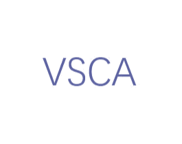 VSCA 第25类服装鞋帽商标图样