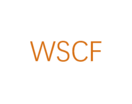 WSCF 第25类服装鞋帽商标图样
