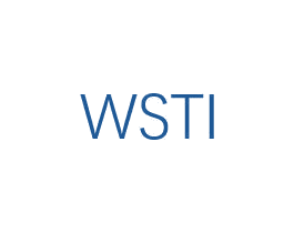 WSTI 第25类服装鞋帽商标图样