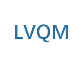 LVQM 第25类服装鞋帽商标图样