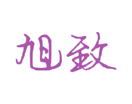 旭致 第27类地毯席垫商标图样