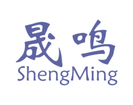 晟鸣 第12类运输工具商标图样