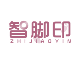 智脚印 第9类科学仪器商标图样