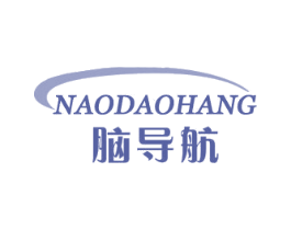 脑导航 第41类教育娱乐商标图样