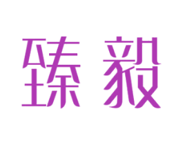 臻毅 第18类皮革箱包商标图样