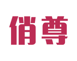 俏尊 第12类运输工具商标图样