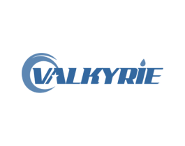 VALKYRIE 第11类家用电器商标图样
