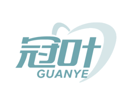 冠叶 GUANYE 第11类家用电器商标图样
