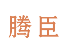 腾臣 第38类通讯传媒商标图样