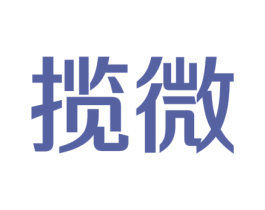揽微 第9类科学仪器商标图样