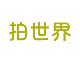 拍世界 第9类科学仪器商标图样