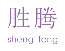 胜腾 第32类啤酒饮料商标图样