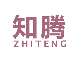 知腾 第27类地毯席垫商标图样