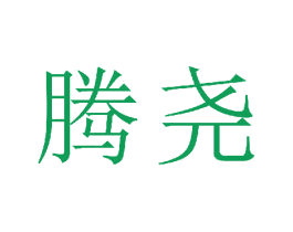 腾尧 第21类厨房洁具商标图样
