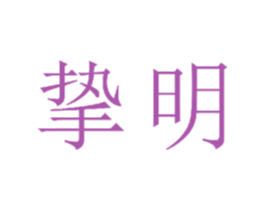 挚明 第20类家具商标图样