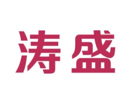 涛盛 第18类皮革箱包商标图样