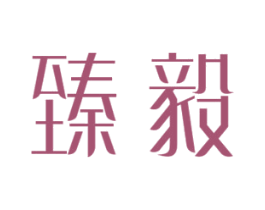 臻毅 第11类家用电器商标图样