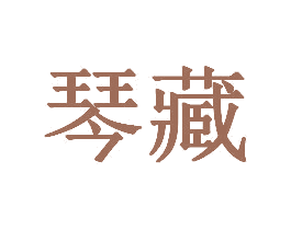琴藏 第25类服装鞋帽商标图样