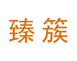 臻簇 第18类皮革箱包商标图样