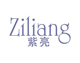 紫亮 第25类服装鞋帽商标图样