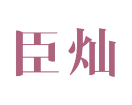 臣灿 第21类厨房洁具商标图样