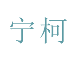 宁柯 第21类厨房洁具商标图样