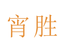 宵胜 第21类厨房洁具商标图样