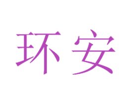 环安 第15类乐器商标图样
