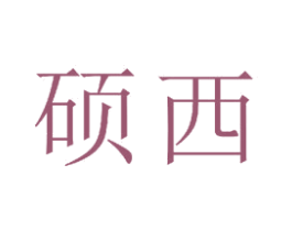 硕西 第16类办公工具商标图样