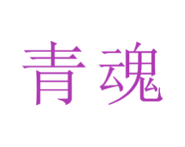 青魂 第20类家具商标图样