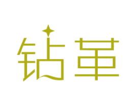 钻革 第12类运输工具商标图样