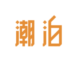 潮泊 第11类家用电器商标图样