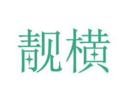 靓横 第11类家用电器商标图样