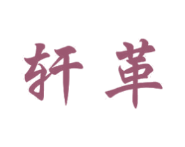 轩革 第11类家用电器商标图样