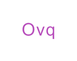 OVQ 第25类服装鞋帽商标图样