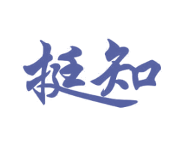 挺知 第10类医疗器械商标图样