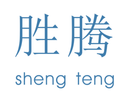胜腾 第27类地毯席垫商标图样