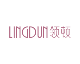 领顿 第9类科学仪器商标图样