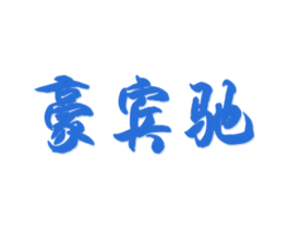 豪宾驰 第25类服装鞋帽商标图样