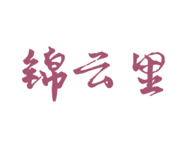 锦云里 第36类金融物管商标图样