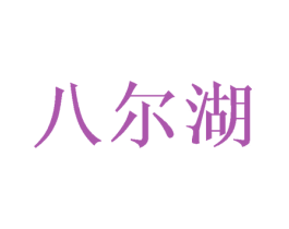 八尔湖 第9类科学仪器商标图样