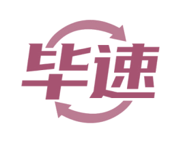 毕速 第10类医疗器械商标图样